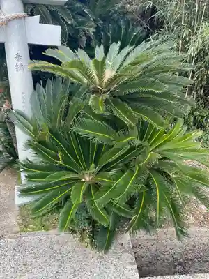 三浦神社(長崎県)