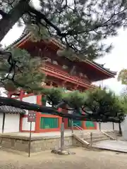 葛井寺の山門