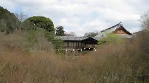 東福禅寺（東福寺）の本殿・本堂
