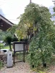 楢谷寺(岐阜県)