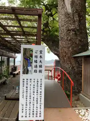 金剛宝寺（紀三井寺）のその他建物