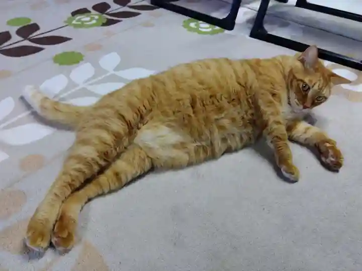 龍岳院(愛知県)