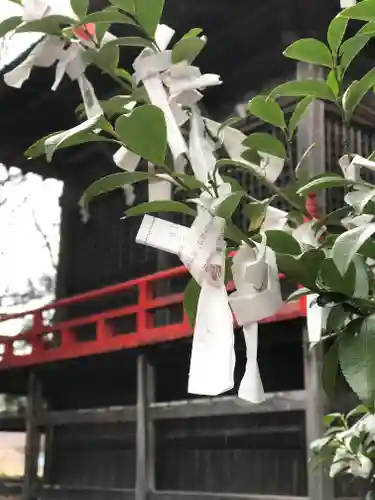 高司神社〜むすびの神の鎮まる社〜のおみくじ