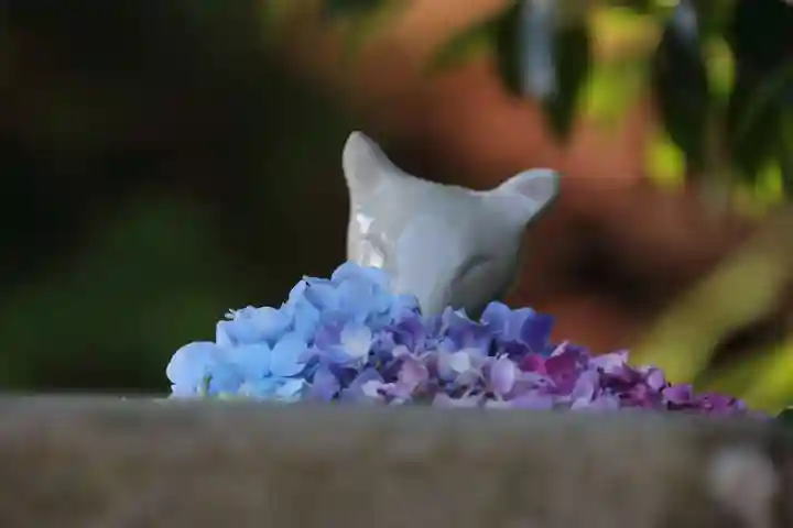 開成山大神宮の手水舎