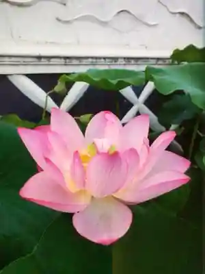 長善寺(東京都)