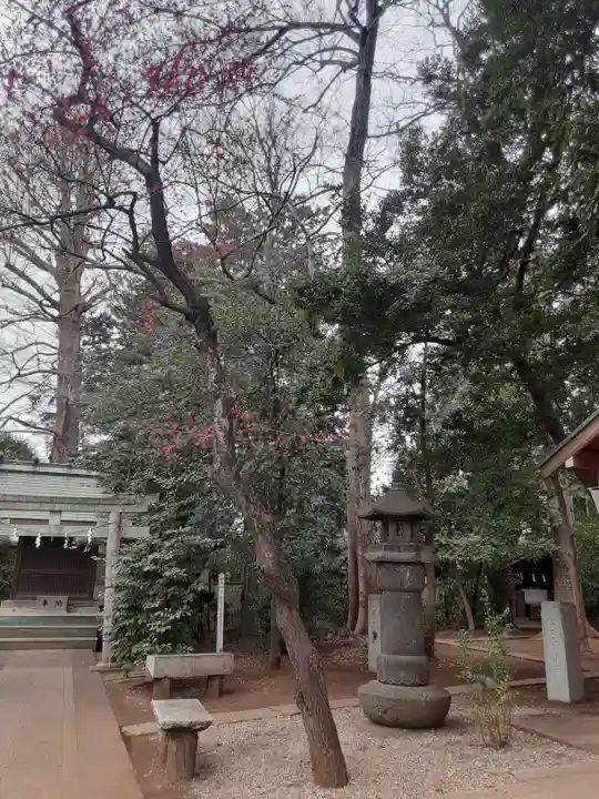 小金井神社(東京都)
