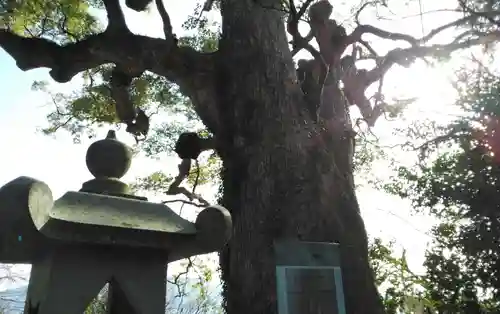 恵蘇八幡宮のその他建物