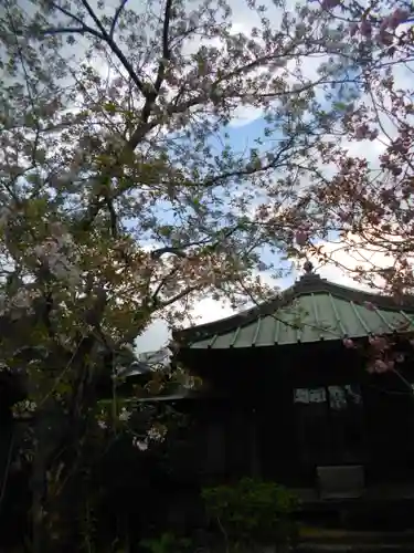 極楽寺（霊鷲山感應院極楽律寺）の自然