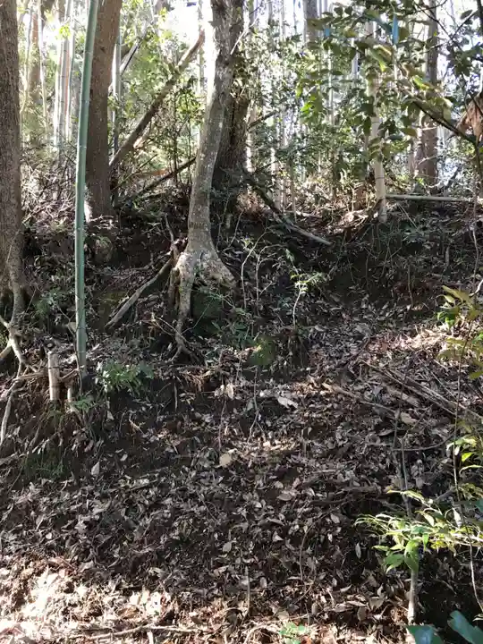 金比羅神社の周辺