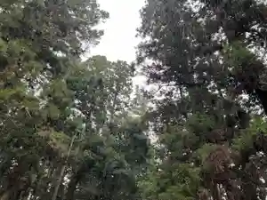 大宮温泉神社(栃木県)(2023年05月14日(日) 08時26分46秒投稿)