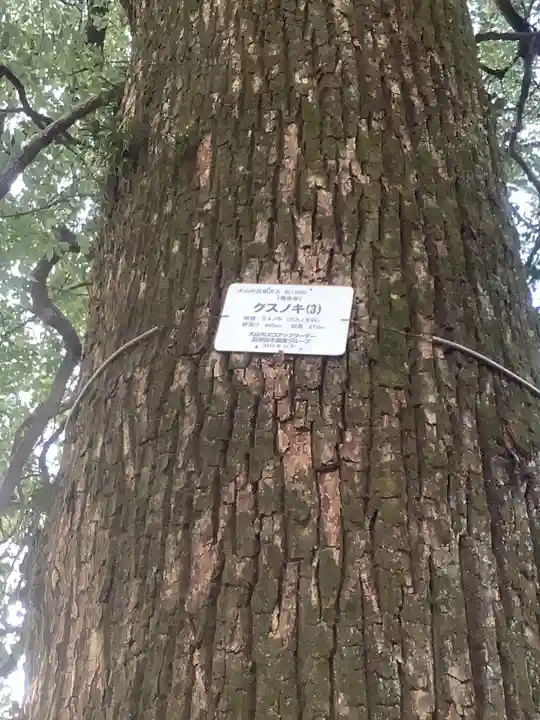 専念寺(愛知県)