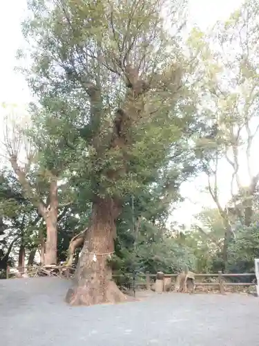 一宮神社のその他建物