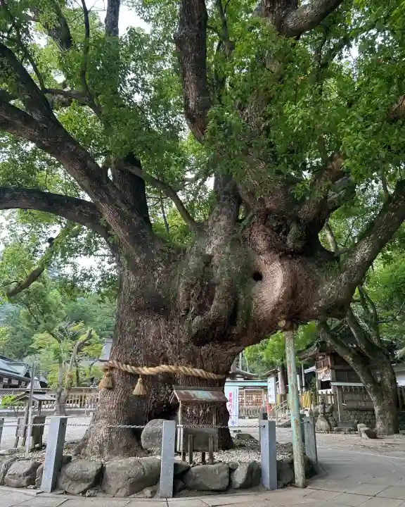 大麻比古神社(徳島県)