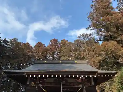 小川温泉神社(栃木県)