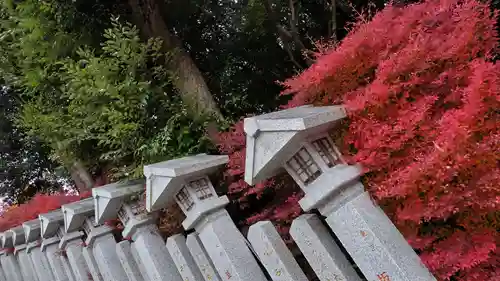 近江神宮の建物その他