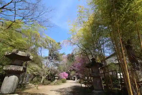 八王寺(埼玉県)