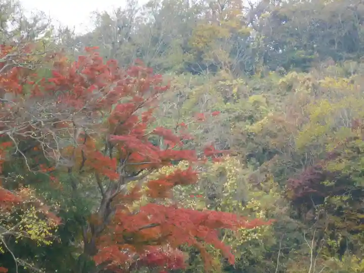 永福寺跡(永福寺址)の自然