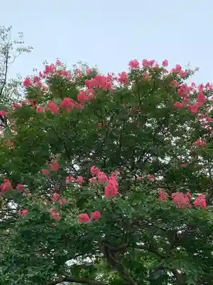 東照寺(神奈川県)