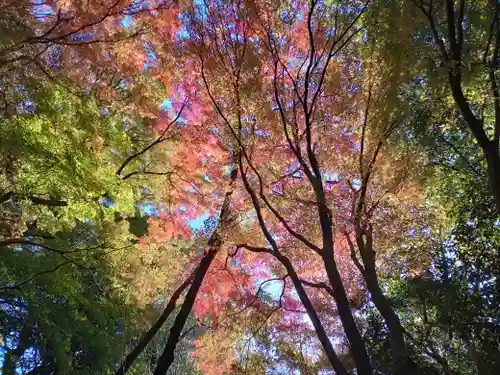 龍尾寺(大阪府)