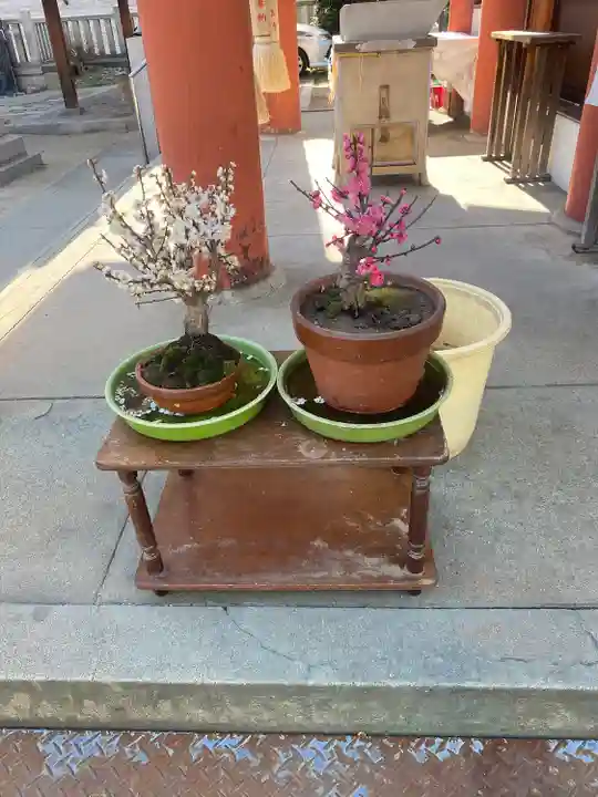 敷津松之宮 大国主神社の自然
