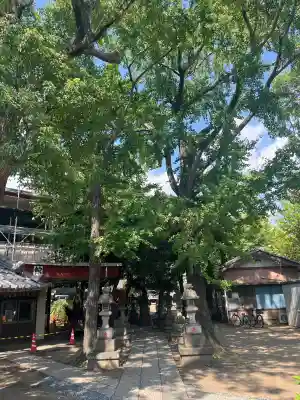 今井神社の{uncategorized: "未分類", other: "その他", undefined: "問題あり", building: "その他建物", grave: "お墓", sacred_gate: "鳥居", guardian: "狛犬", statue: "像", buddha: "仏像", history: "歴史", nature: "自然", garden: "庭園", animal: "動物", pagoda: "塔", temizu: "手水舎", mountain_gate: "山門・神門", sanctuary: "本殿・本堂", subordinate: "末社・摂社", art: "芸術", scenery: "景色", jizo: "地蔵", ema: "絵馬", goshuin: "御朱印", omikuji: "おみくじ", items: "授与品その他", amulet: "お守り", goshuincho: "御朱印帳", eats: "食事", festival: "お祭り", votive_dance: "神楽", shichigosan: "七五三参", wedding: "結婚式", experience: "体験その他", initially: "初詣", around: "周辺", anti_infection: "感染症対策"}