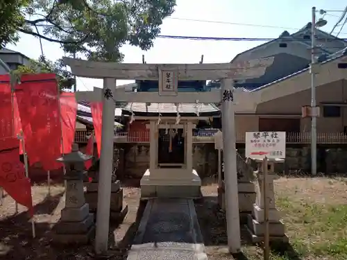 志紀長吉神社(大阪府)