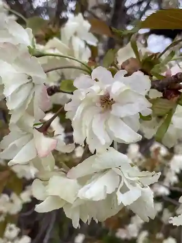 上地八幡宮(愛知県)
