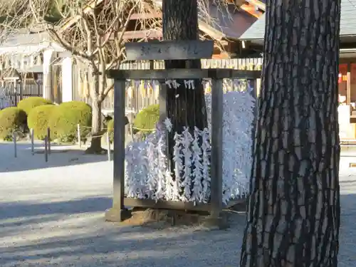 身曾岐神社のおみくじ