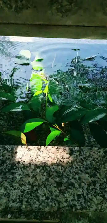 大宮・大原神社(千葉県)