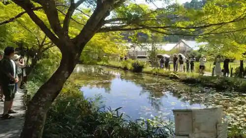 根道神社(岐阜県)