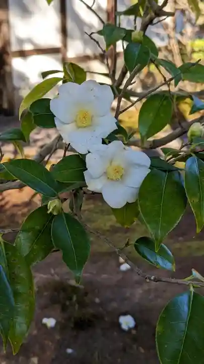 一華院(京都府)