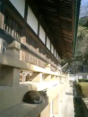 光明寺の本殿・本堂