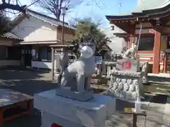 桜森稲荷神社の狛犬