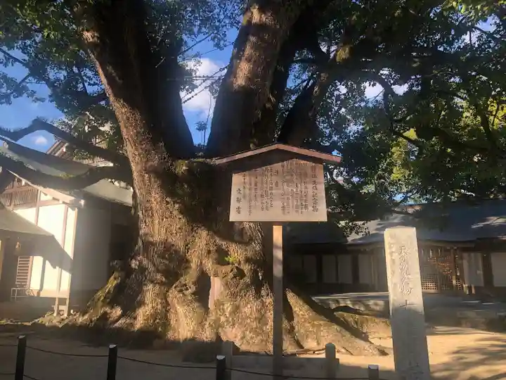 太宰府天満宮(福岡県)