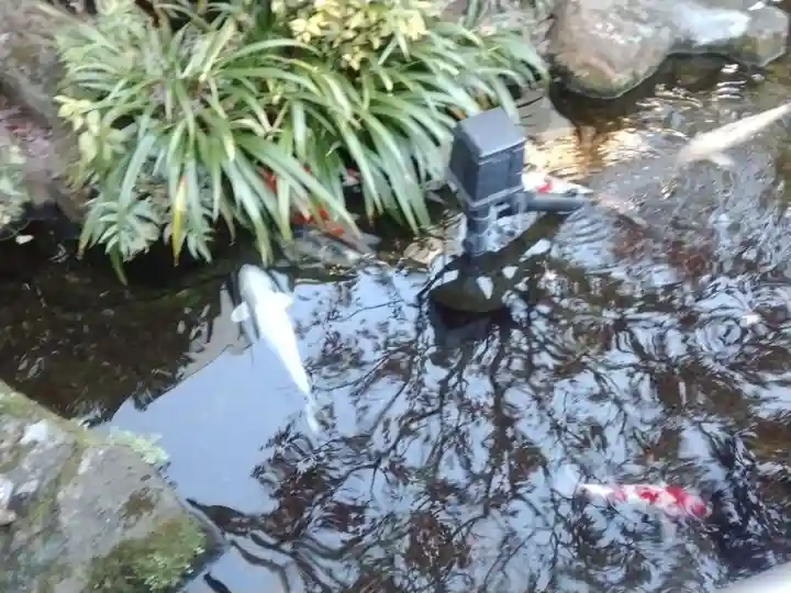 東光寺別院桜ヶ池不動院(東京都)