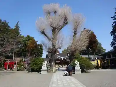 亀ケ池八幡宮のその他建物