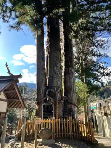 奥氷川神社(東京都)