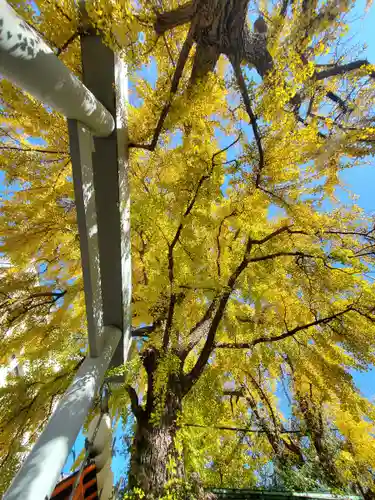 波除神社（波除稲荷神社）(東京都)