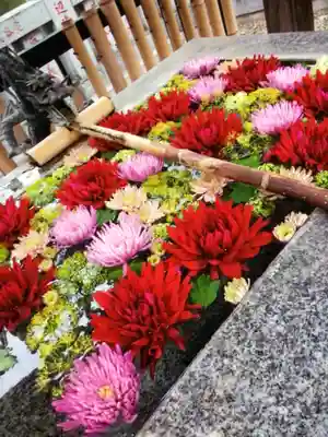高円寺氷川神社(東京都)