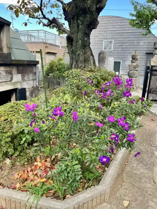 正覚院(東京都)