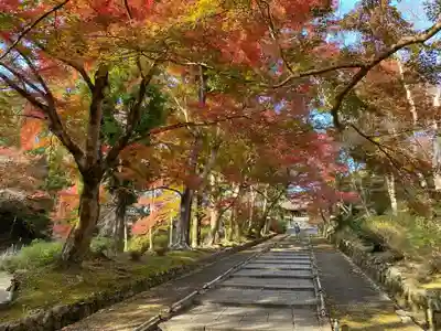 毘沙門堂門跡のその他建物