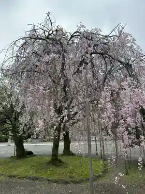富山縣護國神社の{uncategorized: "未分類", other: "その他", undefined: "問題あり", building: "その他建物", grave: "お墓", sacred_gate: "鳥居", guardian: "狛犬", statue: "像", buddha: "仏像", history: "歴史", nature: "自然", garden: "庭園", animal: "動物", pagoda: "塔", temizu: "手水舎", mountain_gate: "山門・神門", sanctuary: "本殿・本堂", subordinate: "末社・摂社", art: "芸術", scenery: "景色", jizo: "地蔵", ema: "絵馬", goshuin: "御朱印", omikuji: "おみくじ", items: "授与品その他", amulet: "お守り", goshuincho: "御朱印帳", eats: "食事", festival: "お祭り", votive_dance: "神楽", shichigosan: "七五三参", wedding: "結婚式", experience: "体験その他", initially: "初詣", around: "周辺", anti_infection: "感染症対策"}