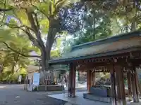 平塚八幡宮の手水舎