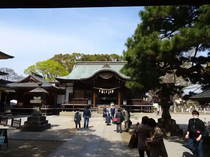 葛飾八幡宮の本殿・本堂