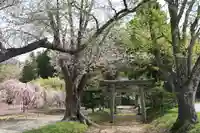 白幡八幡神社の鳥居
