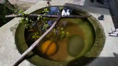 大宝八幡宮(茨城県)