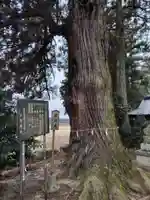 薄葉温泉神社(栃木県)
