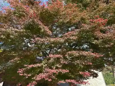 佐味神社(滋賀県)