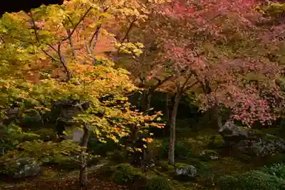 圓光寺(京都府)