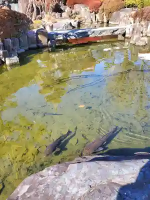 如宝寺(福島県)